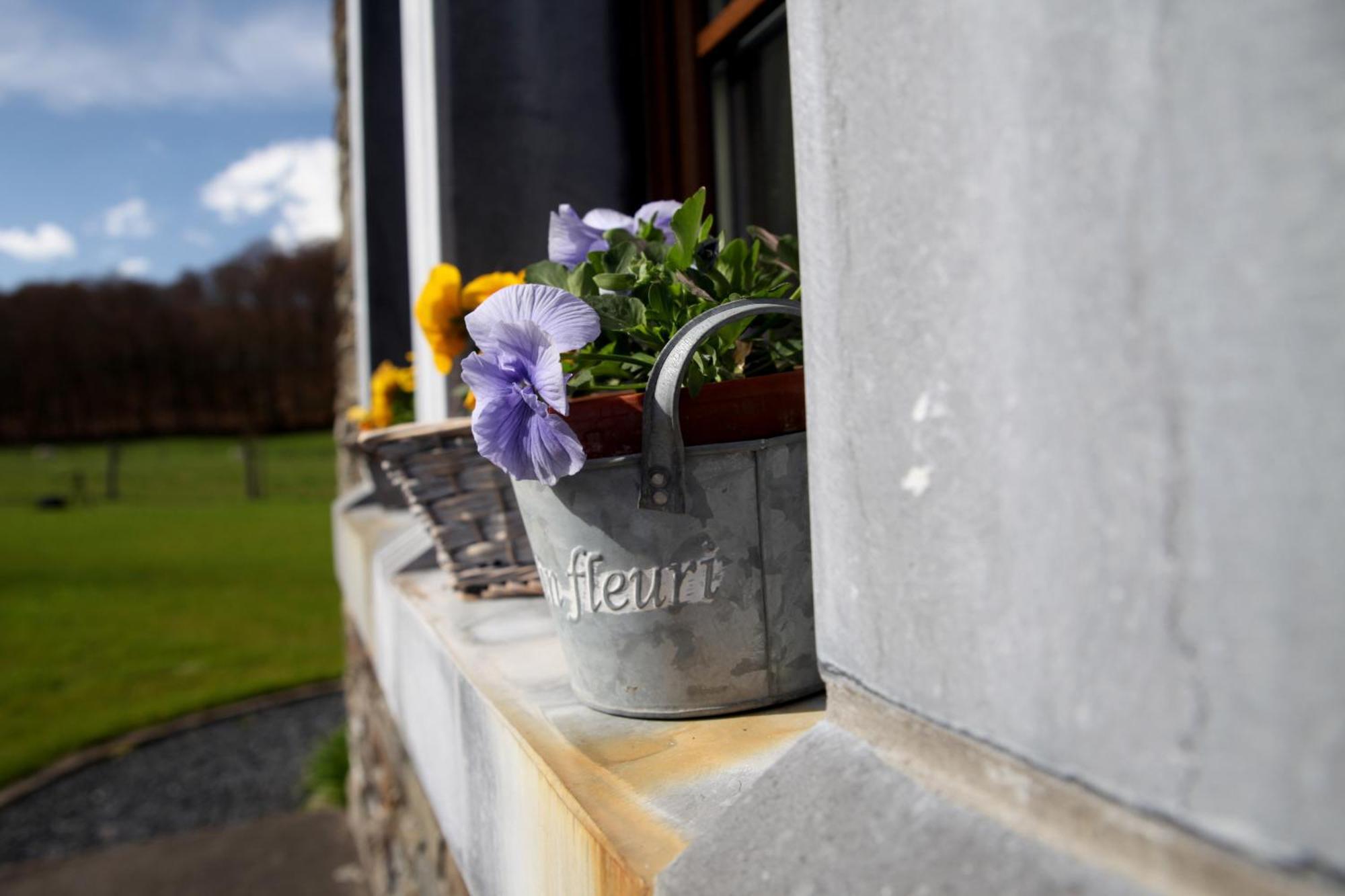 Une Parenthese En Ardenne Nollevaux Buitenkant foto